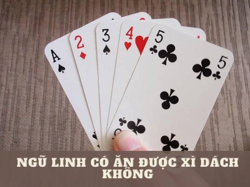 ngũ linh có ăn được xì dách không