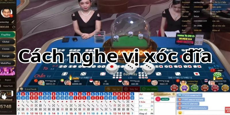 bảng vị xóc đĩa